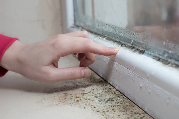 Best Residential Mold Inspection & Testing  in Johnson City, KS