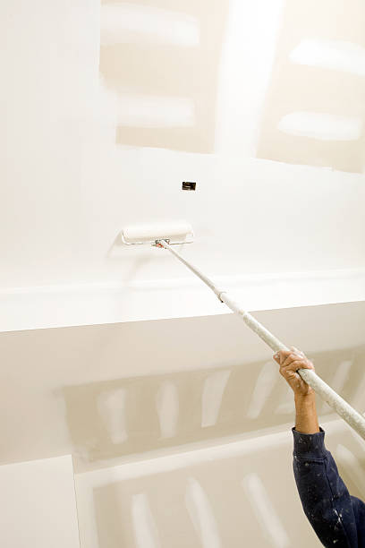Best Black Mold Removal  in Johnson City, KS