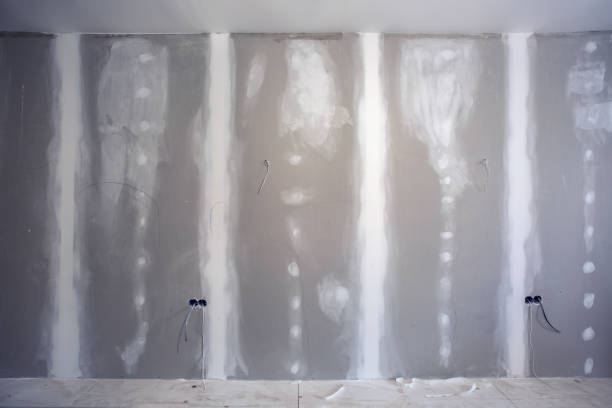 Best Mold-Related Health Consultation  in Johnson City, KS